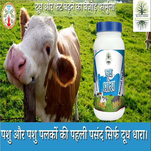 BLISS VEDA MILK & FAT BOOSTER FOR CATTLES